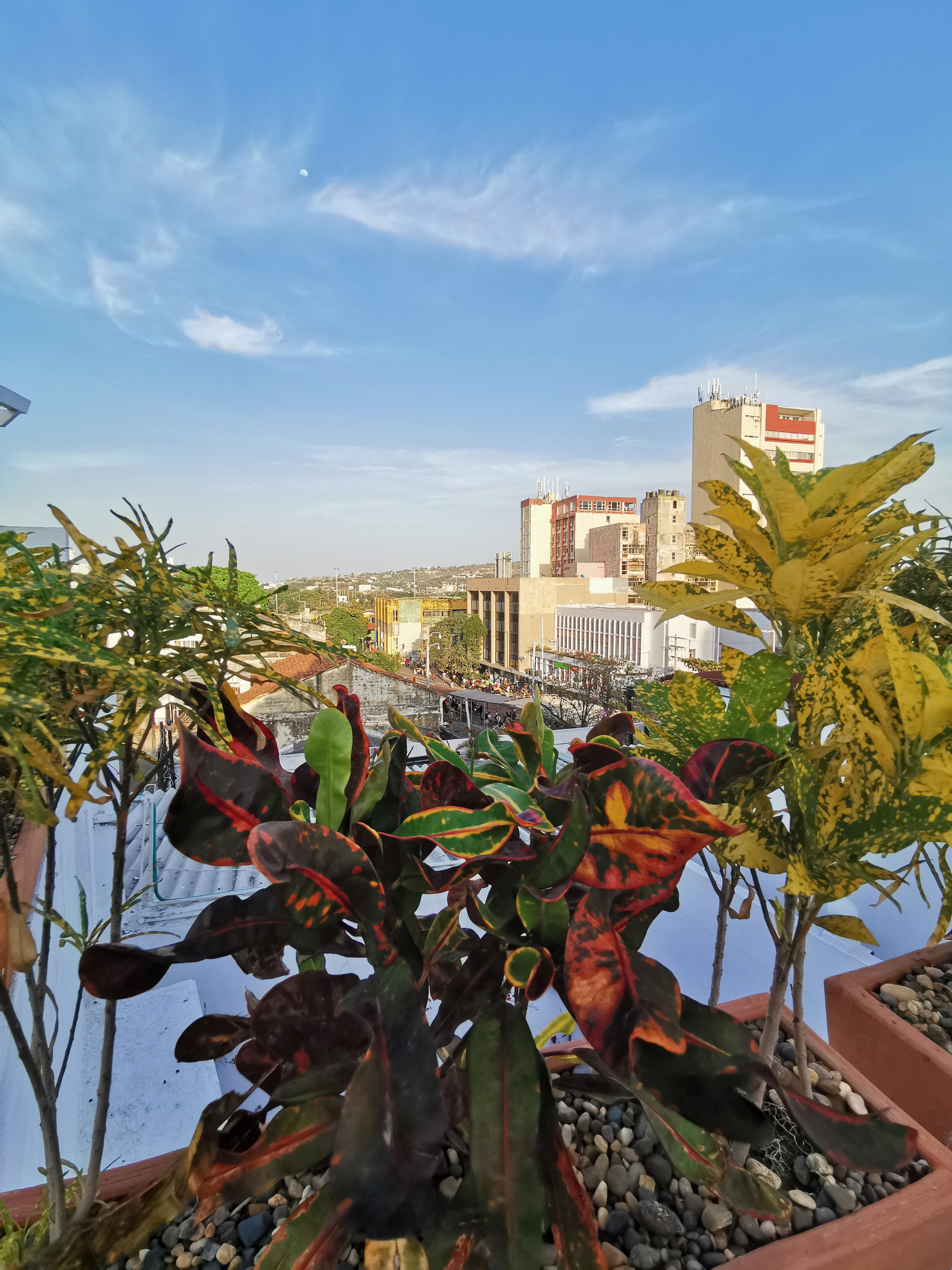 Luka Cartagena Hotel Экстерьер фото